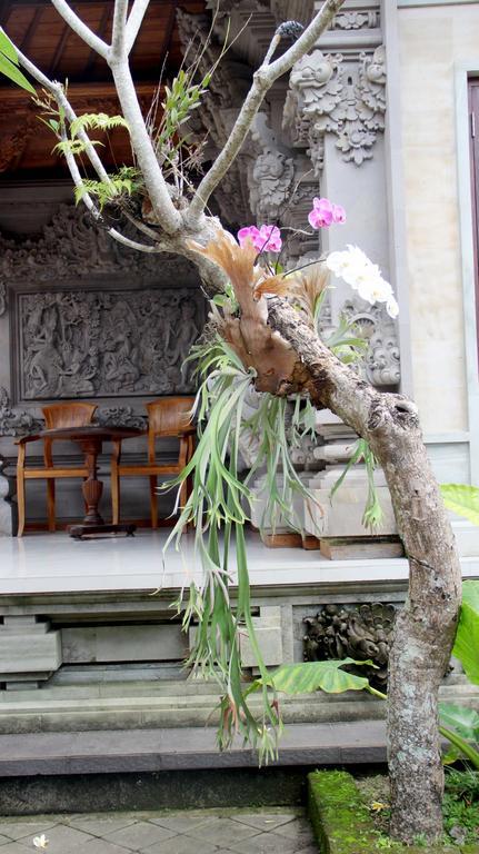 Dag Dig Dug Homestay Ουμπούντ Εξωτερικό φωτογραφία